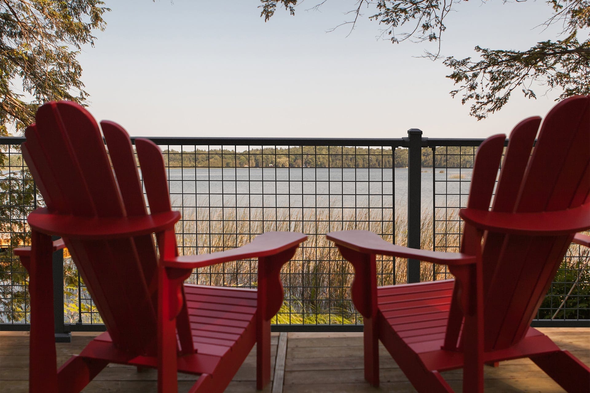 lakefront back porch with black aluminum mesh railing